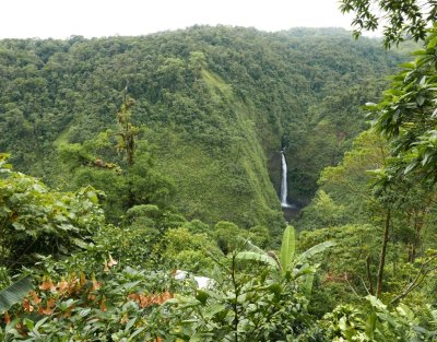 The lookout view