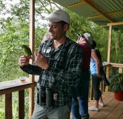 Erick pets the Orange-fronted Parrot on the observation deck
at Cinchona--Mirador La Cascada, Alajuela, Costa Rica