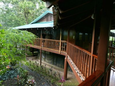 Mary and Steve's room at Selva Verde Lodge, in the rain. Thankfully, all their walkways were covered.