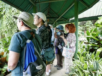 A little rain doesn't stop the birding,
especially when you have a covered walkway.
Vickie, Erick, Steve, Jerry, Carolyn, Terri