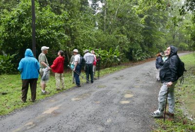 We got off the bus along the entrance road to La Selva Biological Station and walked up to the dining room: Carolyn, Steve, Catherine, Andy, Jerry, Erick, Terri, Carl, Keith