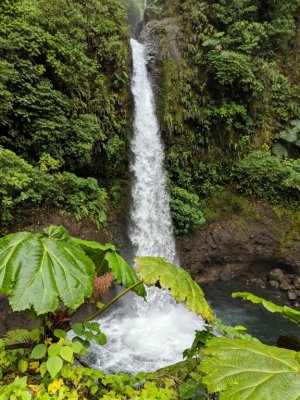 Peace Falls
Catarata de la Paz