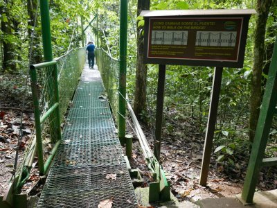 The suspension bridge across the Sarapiqu River
at Tirimbina Biological Reserve, Costa Rica
