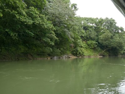 Sarapiqu River