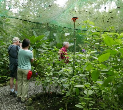 Steve, Catherine and Carl in the Butterfly Garden at EcoCentro Danaus, CR