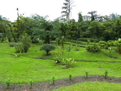 The grounds around our rooms at Arenal Observatory Lodge