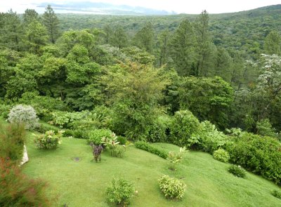 The grounds below the deck off the dining room at Arenal Observatory Lodge our last morning there