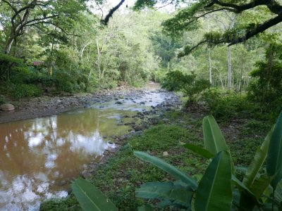 The creek that runs through the property at Hotel Villa Lapas
When Erick and the others gathered, we started walking the grounds.