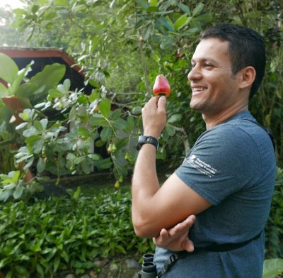 Erick tried to entice someone to taste the fruit of the cashew tree, but got no takers (apparently it makes you pucker like an unripe persimmon does).