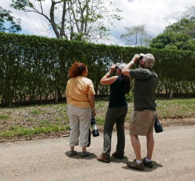Terri, Catherine and Steve looking for an owl