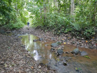 Erick forded the creek to look for a bird.