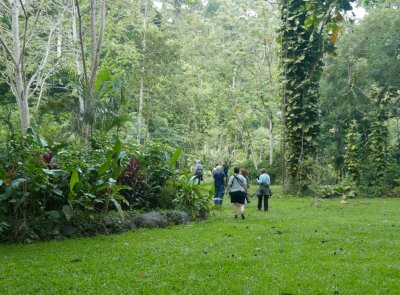 We started our day with an early walk in the lush green of the grounds of Hotel Villa Lapas.
 