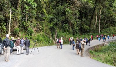 Part of the crowd of quetzal seekers along the road.