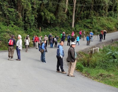 Enrique drove us up the road from the lodge to look for Resplendent Quetzals where we found we were not alone in our quest; Mary counted 67 people on the road in the chilly morning air.