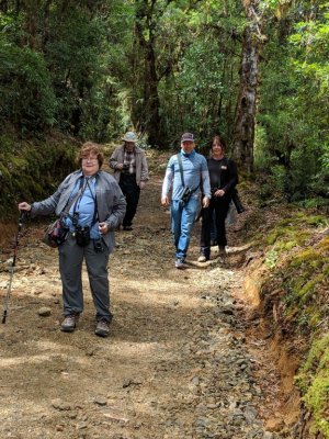 Our ride left us at the top of the hill and we started our walk down.
Mary, Andy, Enrique, Catherine