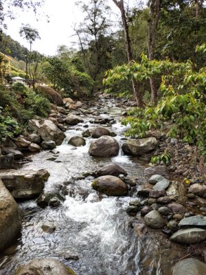 The view upstream