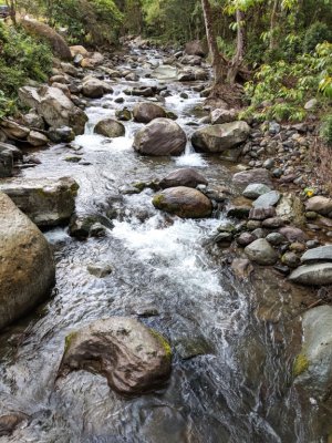 Upstream from the bridge