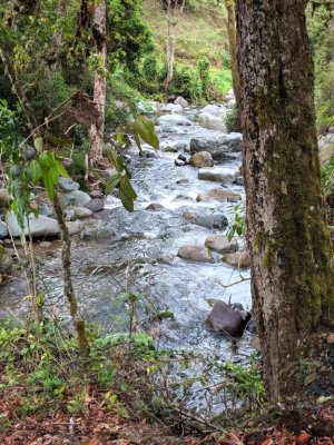 Downstream from the bridge