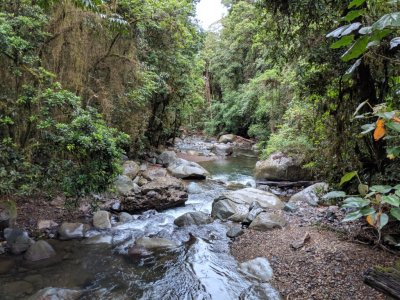 Downstream