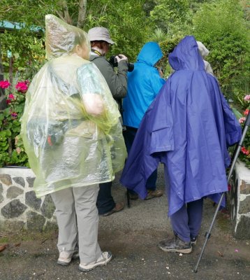 It was drizzling after lunch as we prepared for our afternoon walk: Terri, Barbara, Carolyn, Vickie