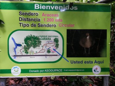 Map of trails (senderos) at Carara National Park (Parque Nacional Carara)