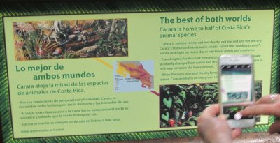 Carara National Park is home to half of Costa Rica's animal species.
