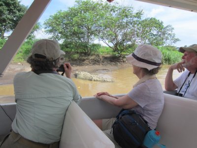 Betsy, Wendy and Kim, on the riverboat, looking at a big crocodile at the edge of the river