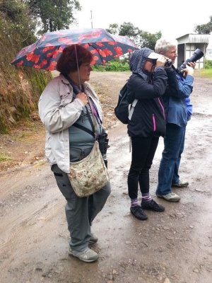 We went back to the hotel for lunch, then got out to do a little birding in the drizzle.
Mary, Deb and Jane