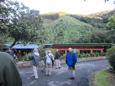 We got out early--the sun was just coming over the top of the mountains--for a bird walk at Savegre.