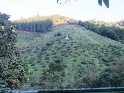 The view up the side of the hill across from our lodge