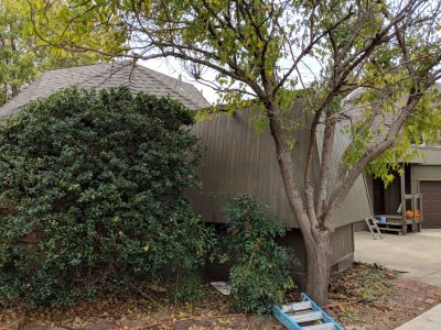 New siding and paint on the downstairs bathroom exterior