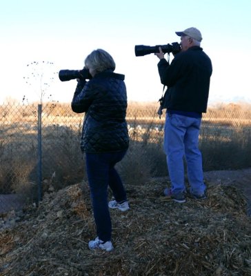 Jan and Steve climbed a pile of wood chips to get a better look at the field of Sandhill Cranes next to Rio Grande Nature Center SP, NM