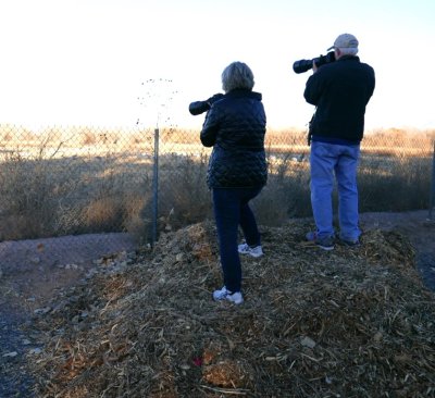 Jan and Steve try to get a few more photos of Sandhill Cranes in the dying light.