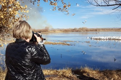 Jan got close to the shore to get a photo of geese on the lake.