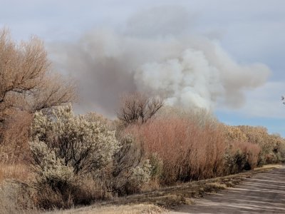 The smoke from the controlled burn was quite thick, but was blowing away from us.
