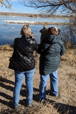 Jan and Mary focus on the geese on the lake.
