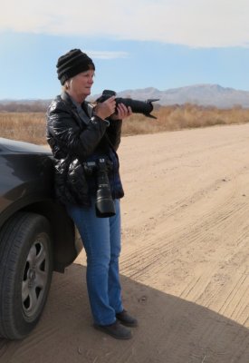 Jan on the North Loop at Bosque del Apache NWA, NM, waiting for the next great shot