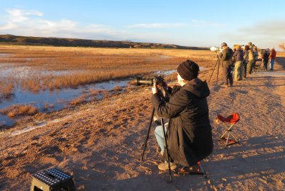 There is a parking lot next to the marsh, which is next to the highway. Photographers stood or sat with their equipment lined up on the berm at the edge of the marsh. Jan got a front row seat.