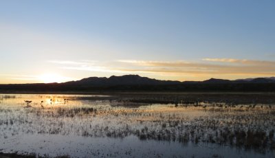 Marsh at sunset