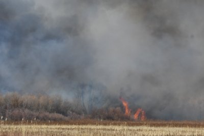 Fire and smoke from the controlled burn