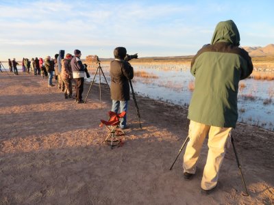 Jan and Steve were on the 'firing line' when the sun came up on the marsh where Sandhill Cranes were roosting for the night.