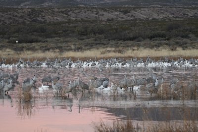 DSC_2280b.jpg