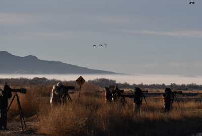 Fog hung in the low area near the lake.