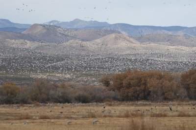 DSC_3314b.jpg