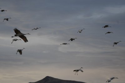DSC_3765b.jpg
