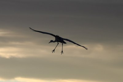 DSC_3870b.jpg
