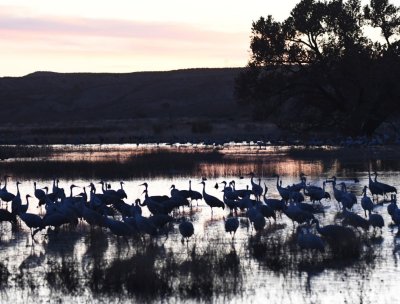 DSC_4043b.jpg