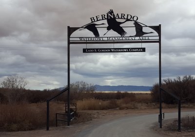 We drove to Bernardo WMA north of Socorro and drove around; it was gray, windy and cold, and birds were scarce.