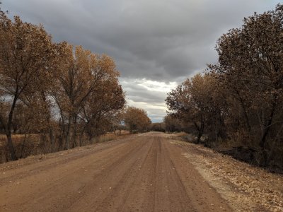 Looking N along the road on the E side of Bosque del Apache NWR
