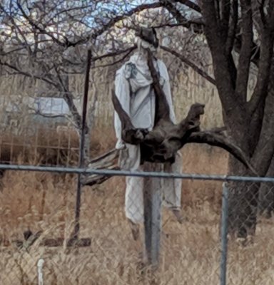 Each time we drove through San Antonio, we noticed this weird yard 'art.'